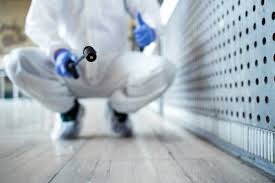Smart Sepo DDD - Deratizare, Dezinfectie, Dezinsectie
