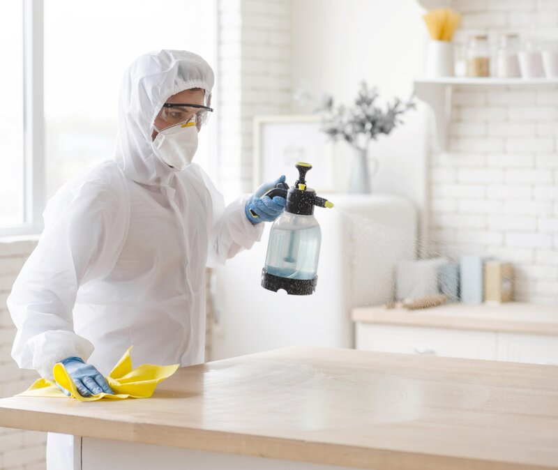 Smart Sepo DDD - Deratizare, Dezinfectie, Dezinsectie